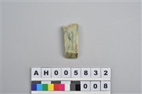 藏品(磨製玉鑿)的圖片